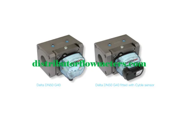 Flow meter Gas Itron Delta Rotary G40
