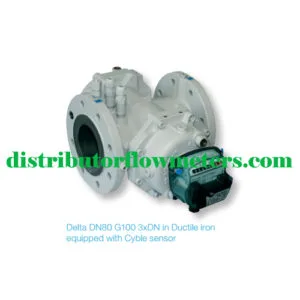 Flow Meter Gas Itron Delta Rotary G100